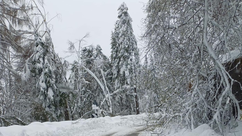 Neve sull'Alto Novarese, interventi sulla sp41 del Mottarone